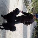 ���������� ��������������, ���� ������� �������, 54 ����, ������������ 