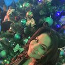 ���������� �����-���������, ���� ������� ����, 33 ����, ������������ ��� ����� � ���������, c�������� ���������