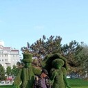 ���������� ���������, ���� ������� ������, 102 ����, ������������ ��� ������, ����� � ���������, c�������� ���������, ���������