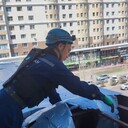 ���������� ������, ���� ������� �������, 29 ���, ������������ ��� ������, ����� � ���������, c�������� ���������