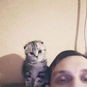 ���������� ���������, ���� ������� ����, 34 ����, ������������ ��� ������, ����� � ���������