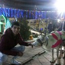 ���������� ������, ���� ������� ������, 29 ���, ������������ ��� ������, ����� � ���������, c�������� ���������