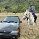 ���������� ������, ���� ������� ���, 29 ���, ������������ ��� ������, ����� � ���������