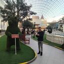 ���������� ������, ���� ������� ����, 28 ���, ������������ ��� ������, ����� � ���������