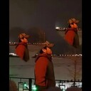 ���������� ������, ���� ������� �������, 31 ���, ������������ ��� ������, ����� � ���������