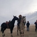 ���������� ������, ���� ������� �����, 33 ����, ������������ ��� ������, ����� � ���������, c�������� ���������, ���������