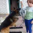  ,   , 67 ,   ,   