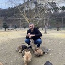 ���������� ����������, ���� ������� �����, 37 ���, ������������ ��� ������, ����� � ���������, c�������� ���������, ���������