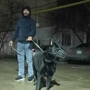 ���������� ������, ���� ������� �����, 41 ���, ������������ ��� ������, ����� � ���������