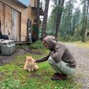 ���������� �����-���������, ���� ������� ���, 34 ����, ������������ ��� ������, ����� � ���������