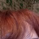 ���������� ������, ���� ������� ������, 49 ���, ������������ ��� ������, ����� � ���������