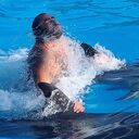 ���������� ������, ���� ������� �����, 38 ���, ������������ ��� ����� � ���������, c�������� ���������