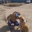  -,   , 52 ,   ,   