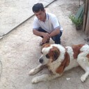  ,   , 34 ,   ,   