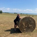  ,   , 51 ,   ,   , c , 