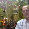  -,   Tifotu958, 57 ,   ,   , c , 