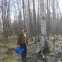 ���������� ���, ���� ������� ���, 40 ���, ������������ ��� ������, ����� � ���������, c�������� ���������, ���������