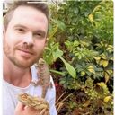 ���������� ������, ���� ������� �������, 45 ���, ������������ ��� ������, ����� � ���������, c�������� ���������