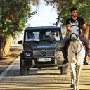 ���������� ���������, ���� ������� �����, 31 ���, ������������ ��� ������, ����� � ���������, c�������� ���������, ���������