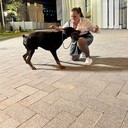 ���������� ������, ���� ������� �������, 33 ����, ������������ ��� ������, ����� � ���������, c�������� ���������