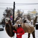 ���������� ���������, ���� ������� Anton, 29 ���, ������������ ��� ������, ����� � ���������, c�������� ���������, ���������