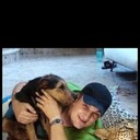 ���������� ������, ���� ������� ������, 43 ����, ������������ ��� ������, ����� � ���������