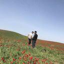 ���������� ���������, ���� ������� ������, 33 ����, ������������ ��� ������, ����� � ���������