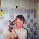  -,   , 43 ,  