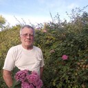 ���������� ������ �����, ���� ������� ���������, 103 ����, ������������ 