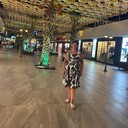 ���������� ������, ���� ������� ������, 62 ����, ������������ ��� c�������� ���������