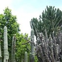 ���������� ������, ���� ������� �������, 42 ����, ������������ ��� ������, ����� � ���������, c�������� ���������