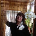 ���������� ������, ���� ������� ���������, 63 ����, ������������ ��� ����� � ���������, c�������� ���������