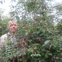  ,   , 62 ,   ,   , c 