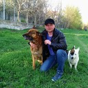 ���������� �������, ���� ������� �������, 38 ���, ������������ ��� ������, ����� � ���������, c�������� ���������