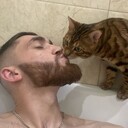 ���������� �����������, ���� ������� �����, 31 ���, ������������ ��� ������, ����� � ���������, c�������� ���������