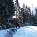  -,   , 44 ,   ,   , c 