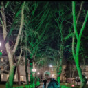 ���������� �����, ���� ������� ����, 46 ���, ������������ ��� ������, ����� � ���������