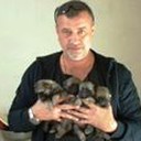  ,   , 59 ,   ,   , c 