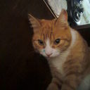 ���������� �������, ���� ������� �����, 30 ���, ������������ ��� ������