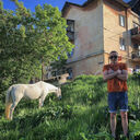 ���������� �����������, ���� ������� ������, 27 ���, ������������ ��� ������, ����� � ���������, c�������� ���������, ���������