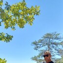  ,   , 48 ,     , c 