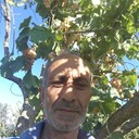 ���������� ��������, ���� ������� �����, 102 ����, ������������ ��� ������, ����� � ���������, c�������� ���������