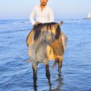 ���������� ����, ���� ������� Semka, 31 ���, ������������ ��� ������, ����� � ���������, c�������� ���������