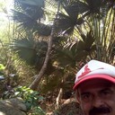 ���������� ����, ���� ������� StoneLion, 61 ���, ������������ ��� ������, ����� � ���������, c�������� ���������