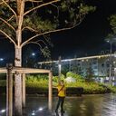 ���������� ������������, ���� ������� ����, 39 ���, ������������ ��� ������, ����� � ���������