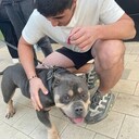 ���������� ������, ���� ����� ������, 19 ���, ������������ ��� ������, ����� � ���������