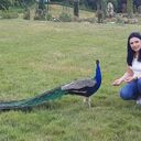  Letnany,   , 45 ,   ,   