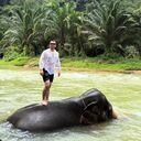 ���������� ������, ���� ������� Ali, 31 ���, ������������ ��� ������, ����� � ���������