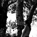 ���������� ������, ���� ������� ����������, 26 ���, ������������ ��� ������, ����� � ���������, c�������� ���������, ���������