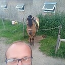 ���������� ������, ���� ������� ������, 42 ����, ������������ ��� ������